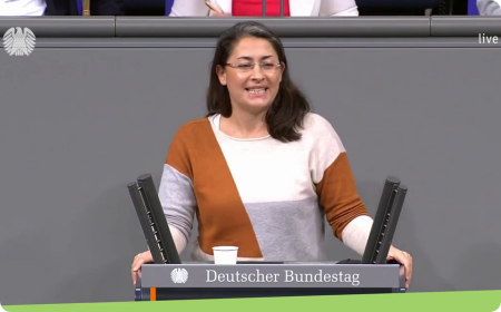 Němečtí Zelení, FDP a SPD zjednodušují přístup k občanství