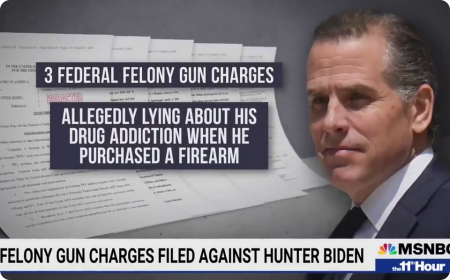 Hunter Biden obviněn z nelegálního držení zbraně