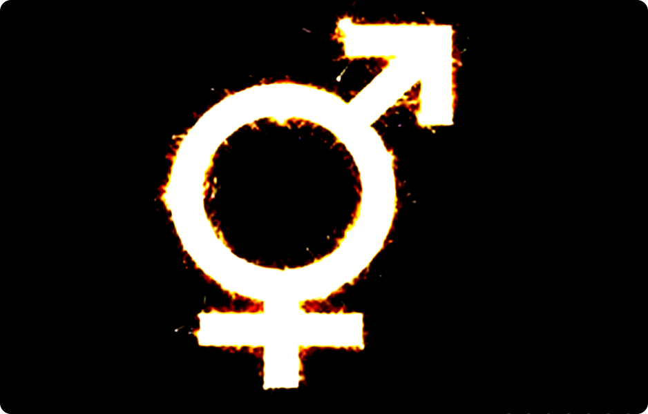 LGBT "QUEER" genderová řeč v Německu postupně zakázána