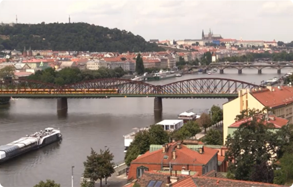 Proč AfD v Německu roste, zatímco SPD Tomia Okamury v Česku stagnuje?